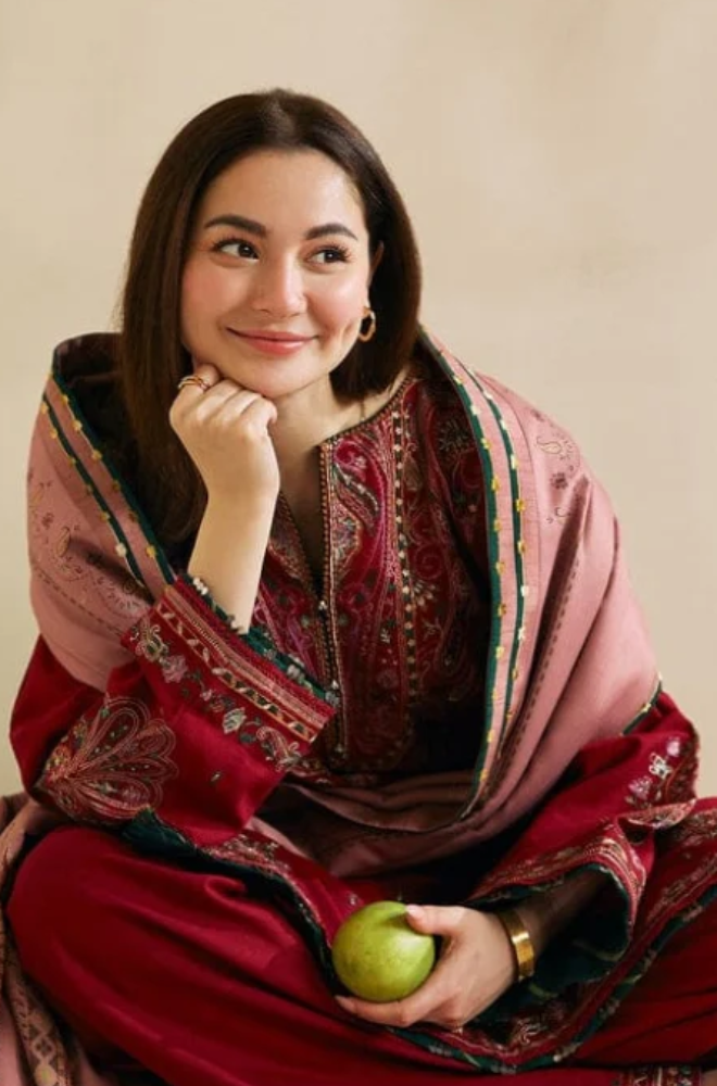 Embroidered Dhanak Unstitched 3PC Set | FS3035