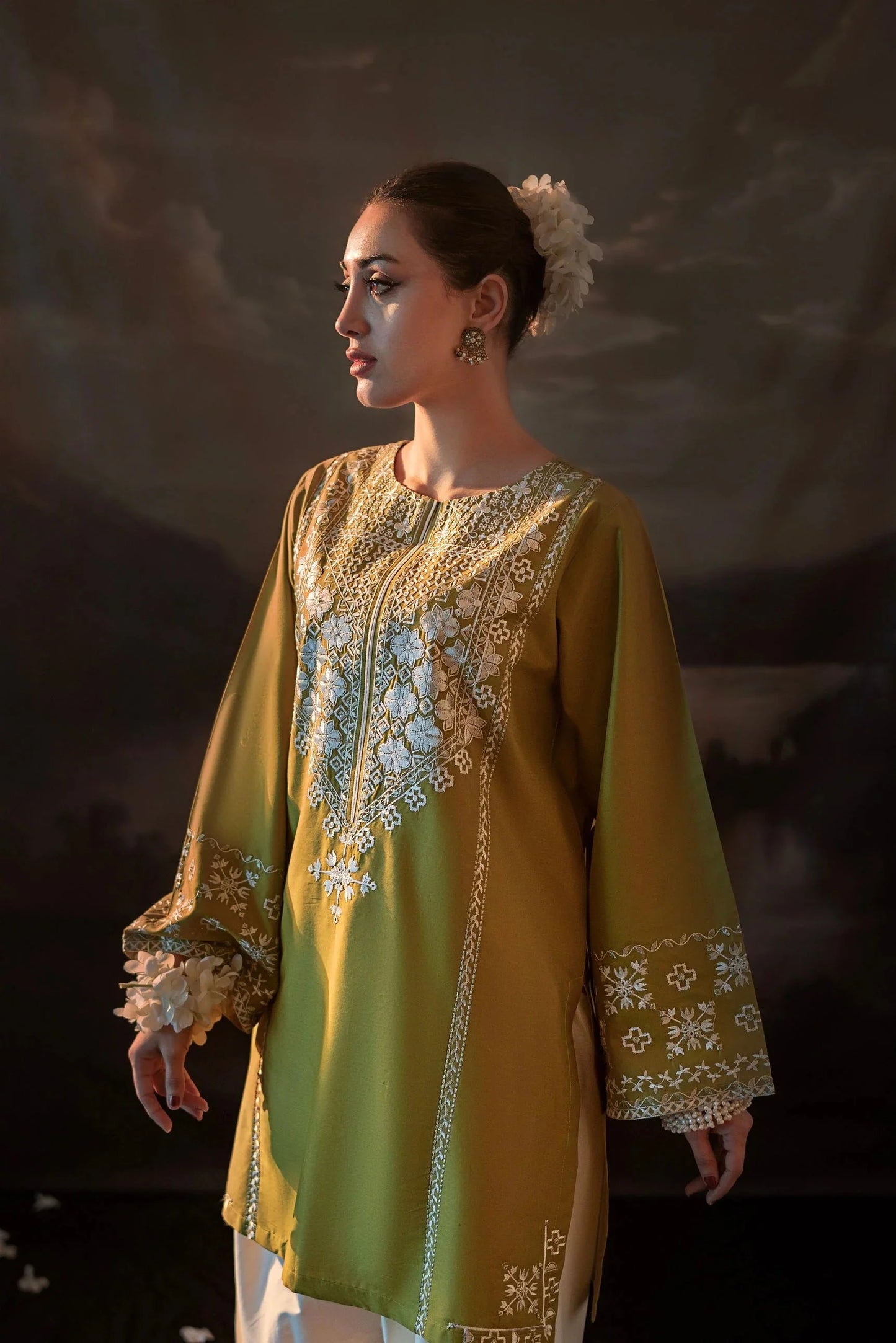Embroidered Dhanak Unstitched 2PC Set | FS3016