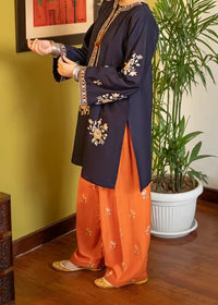 Embroidered Lawn Unstitched 2PC Set | RJ7123