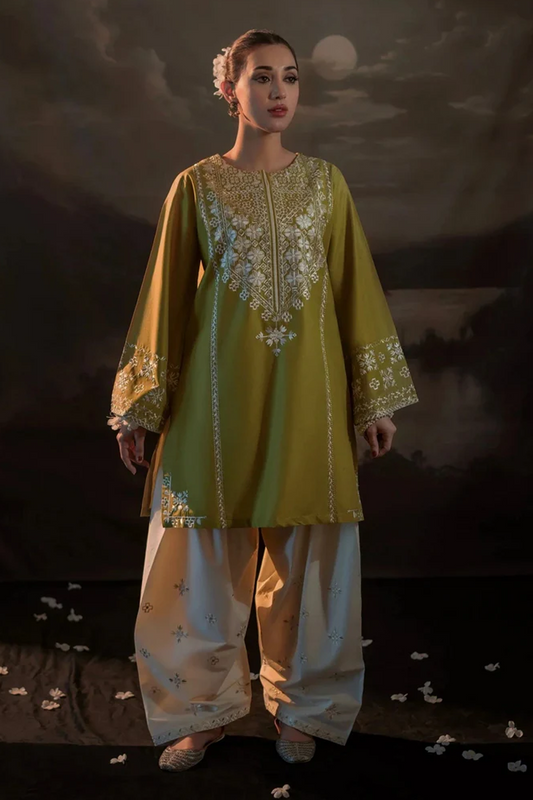 Embroidered Dhanak Unstitched 2PC Set | FS3016