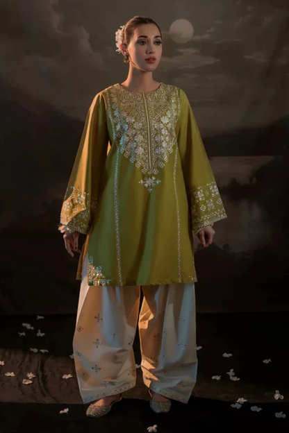 Embroidered Dhanak Unstitched 2PC Set | FS3016