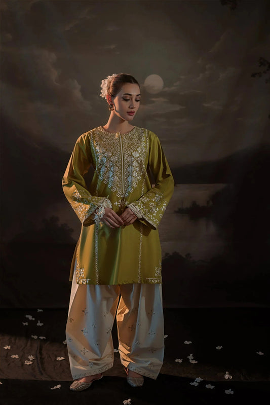 Embroidered Dhanak Unstitched 2PC Set | FS3016