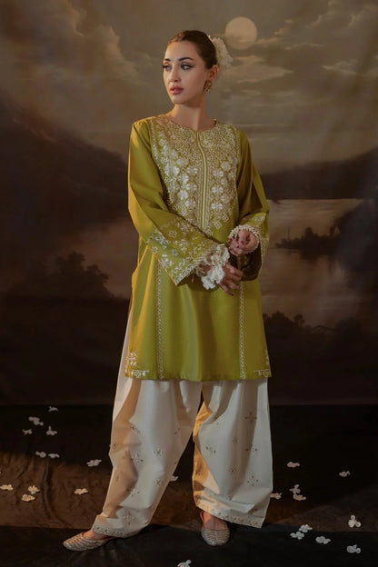 Embroidered Dhanak Unstitched 2PC Set | FS3016